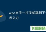 wps文字一打字就跳到下一行的解决办法（详细教程）