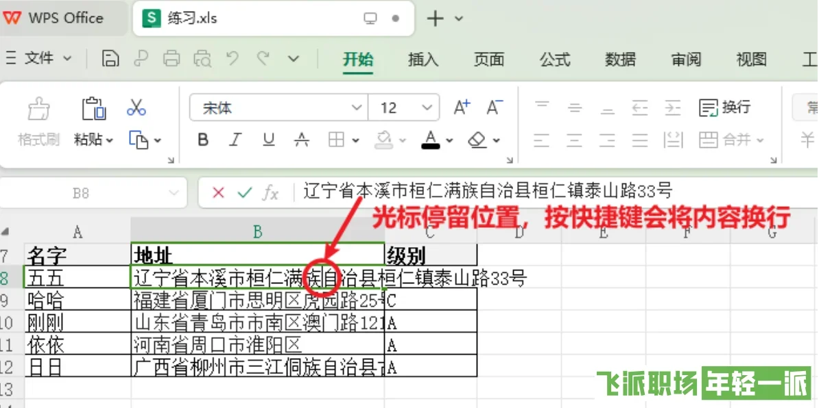 excel如何在一个单元格内换行的3种方法  第6张