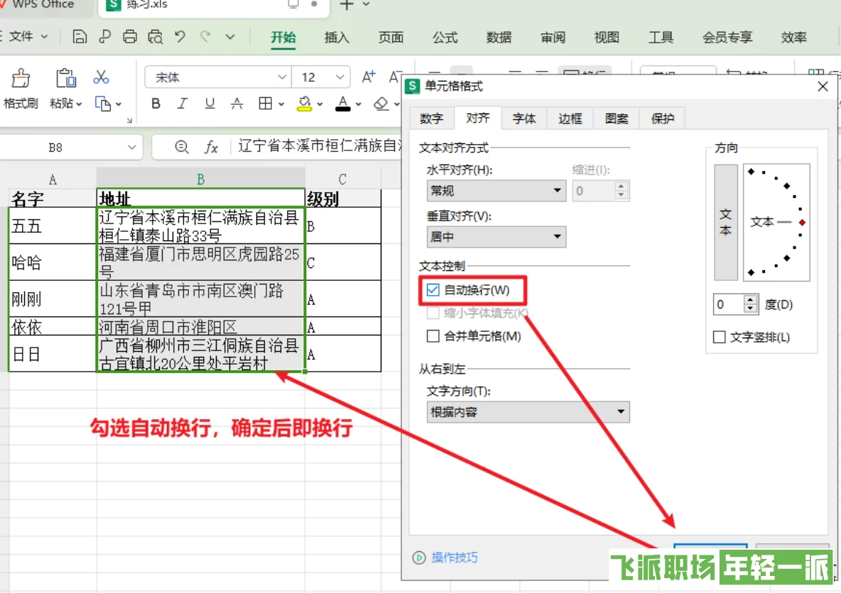 excel如何在一个单元格内换行的3种方法  第5张