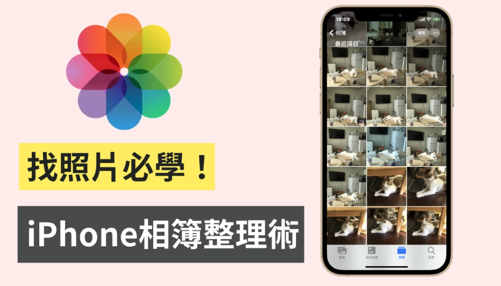 iPhone 相册 4 招必知小技巧！ 教你快速搜索特定照片、整理、创建相簿  第1张